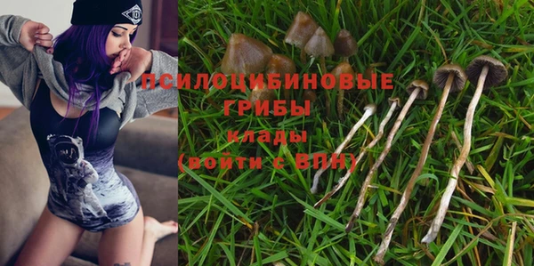 соль курить ск Бердск
