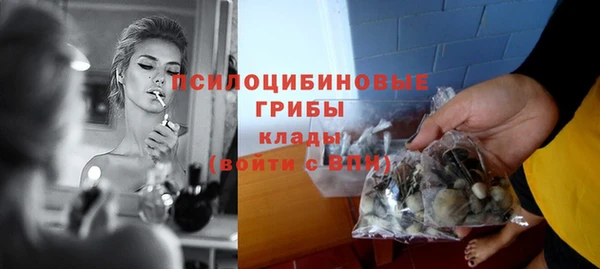 стафф Аркадак